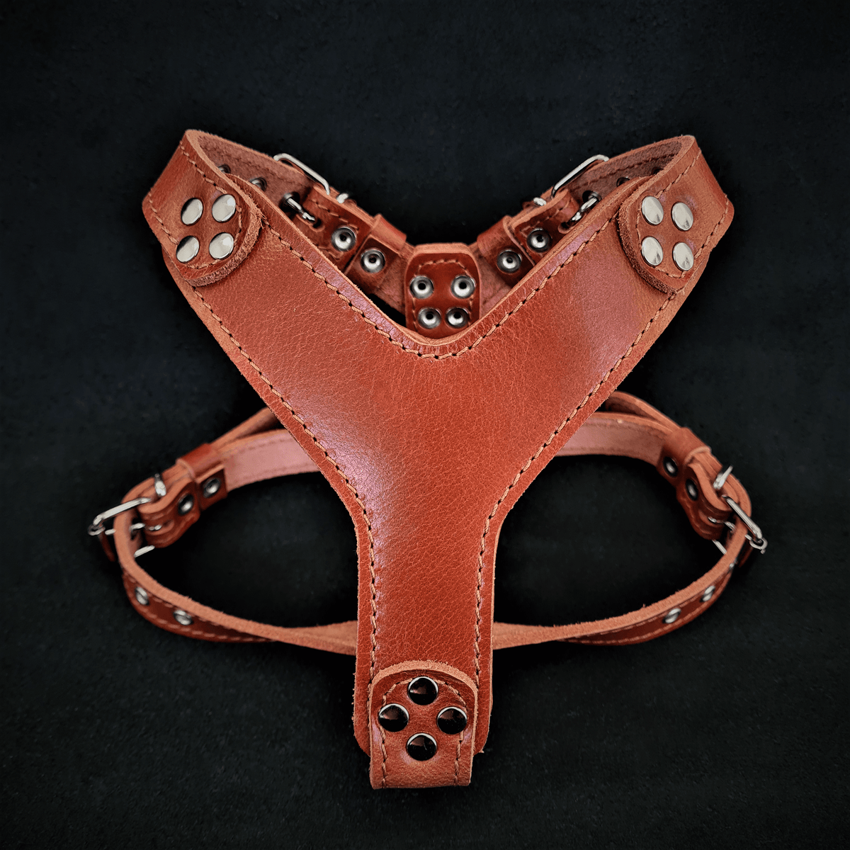 Bestia Style Brown Leather Small to Medium Dog Harness