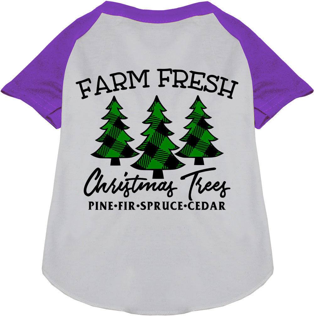 As You Wish Apparel – Farm Fresh Christmas Trees Pet Raglan Shirt