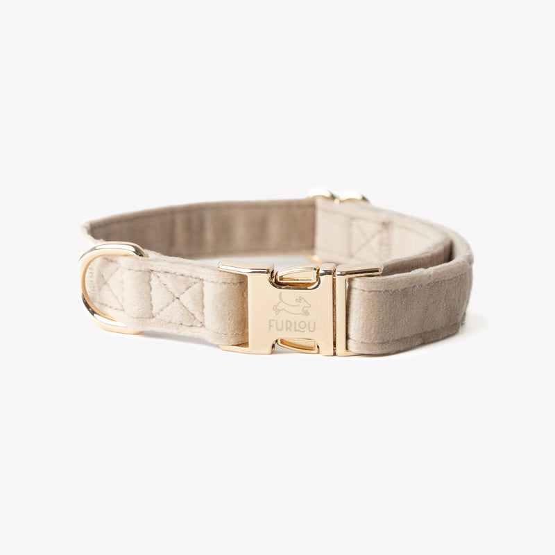 Sand - Velvet Dog Collar - Elegant, soft, and lowkey fabulous. Fast shipping from HT Animal Supply.