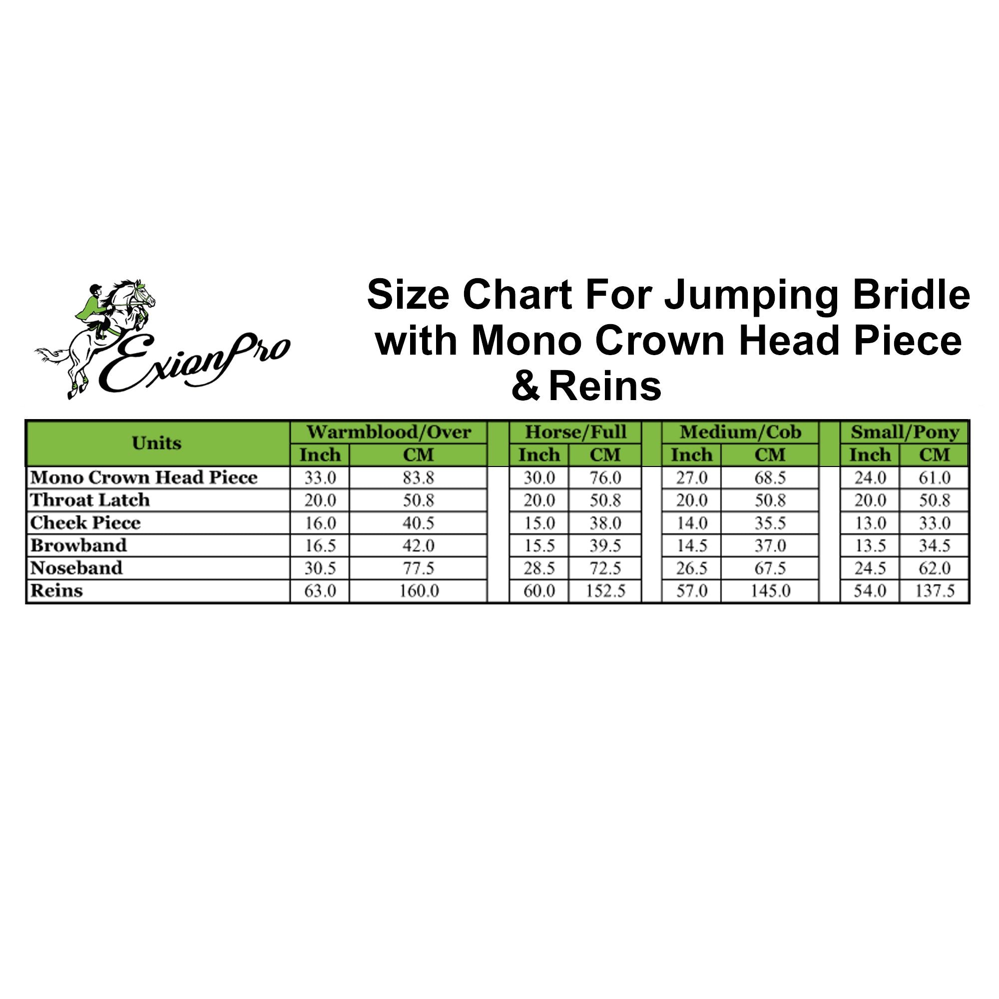 Replacement Noseband of ExionPro Detachable Flash New Thin Raised Bridle & Reins - HT Animal Supply
