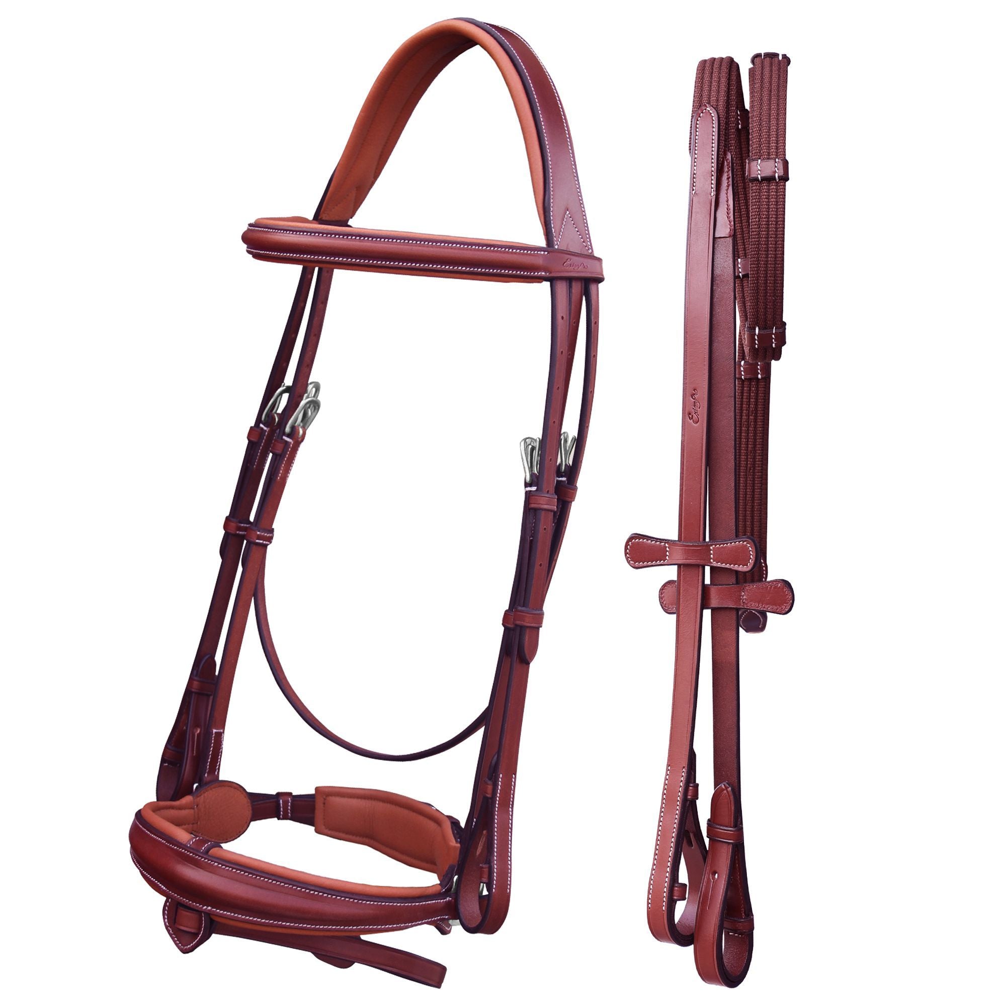 ExionPro Dressage Bridle: Mono Crown, Raised Browband, Anatomical Noseband, Detachable Flash & Web Reins - HT Animal Supply