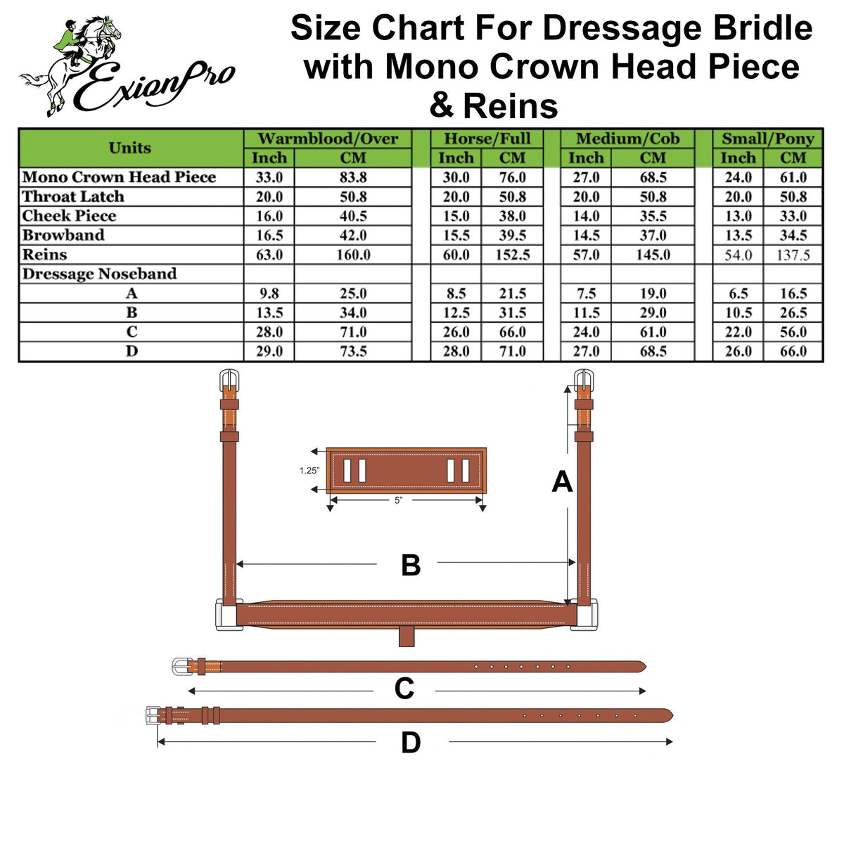 ExionPro Dressage Bridle: Mono Crown, Raised Browband, Anatomical Noseband, Detachable Flash & Web Reins | HT Animal Supply
