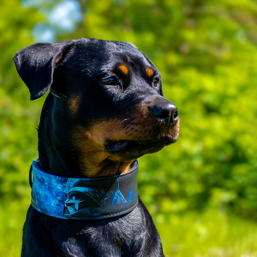 Bestia Darth Force Limited Edition Leather Dog Collar