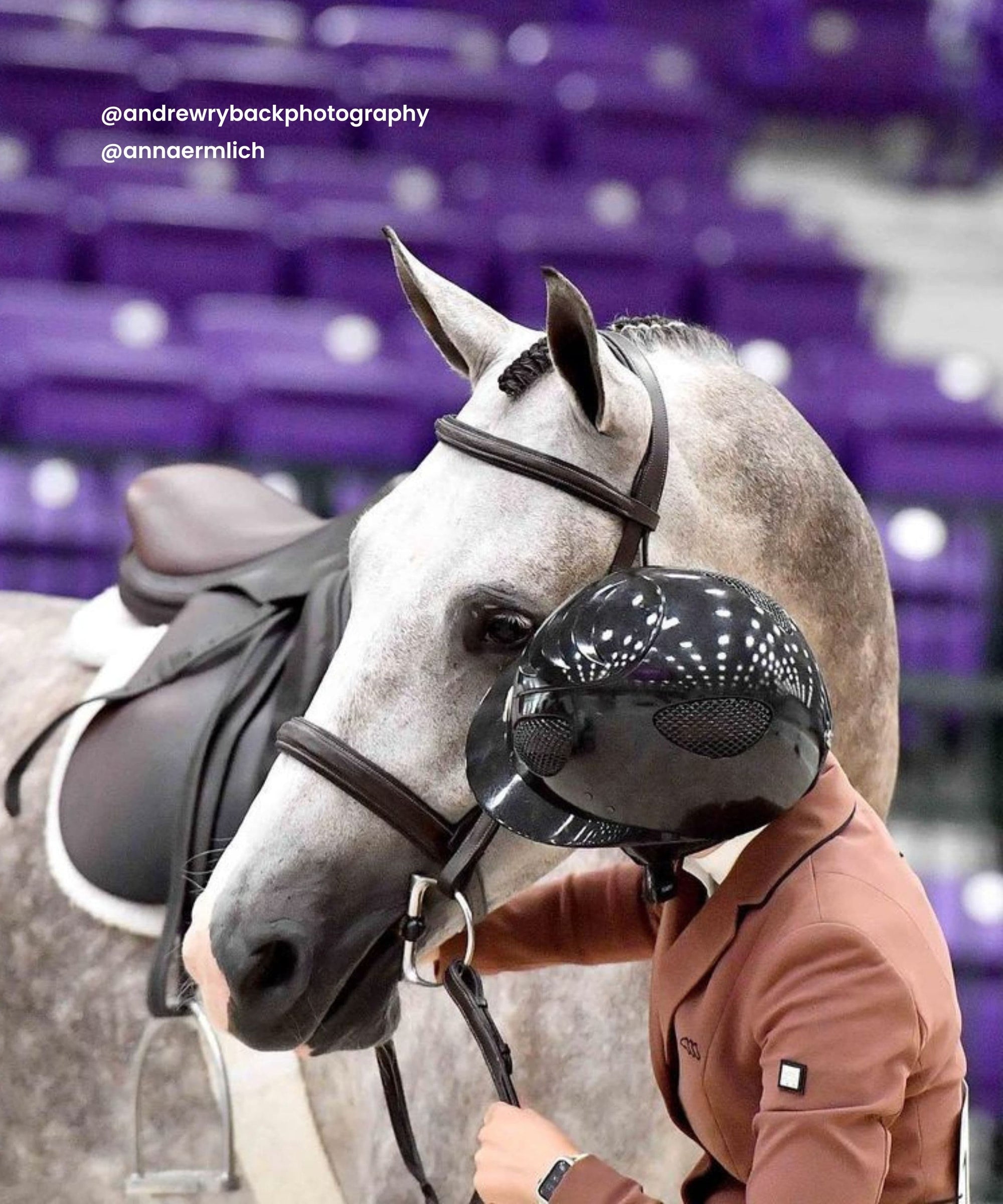 Replacement Noseband of ExionPro Padded Hunter Bridle | HT Animal Supply