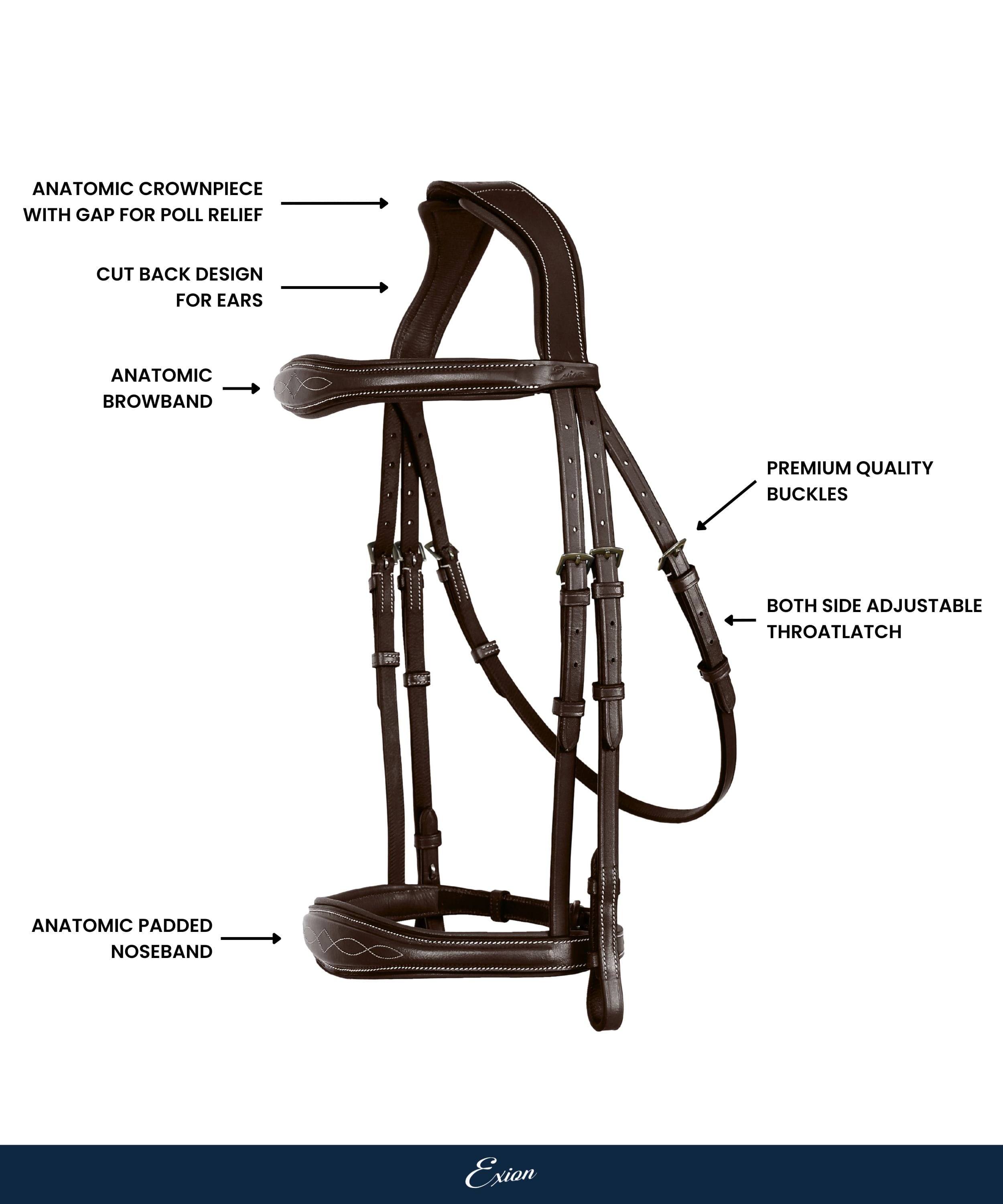 ExionPro Fancy Stitched Raised Anatomical Bridle with Reins without Flash