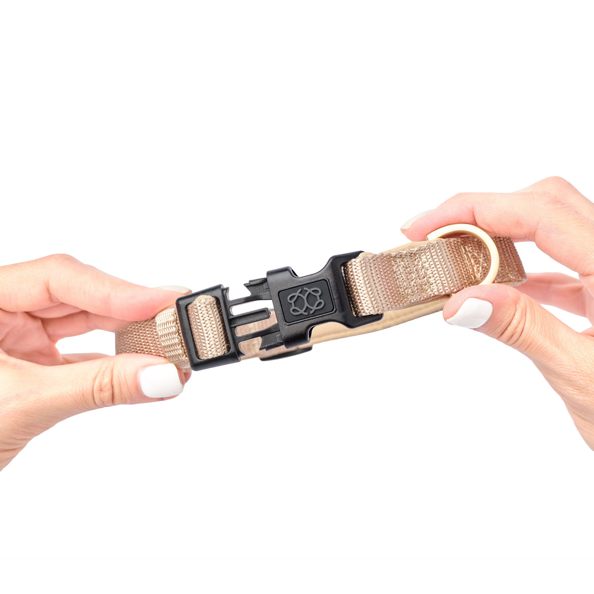 DOGISTRY City Dog Collar - Dune