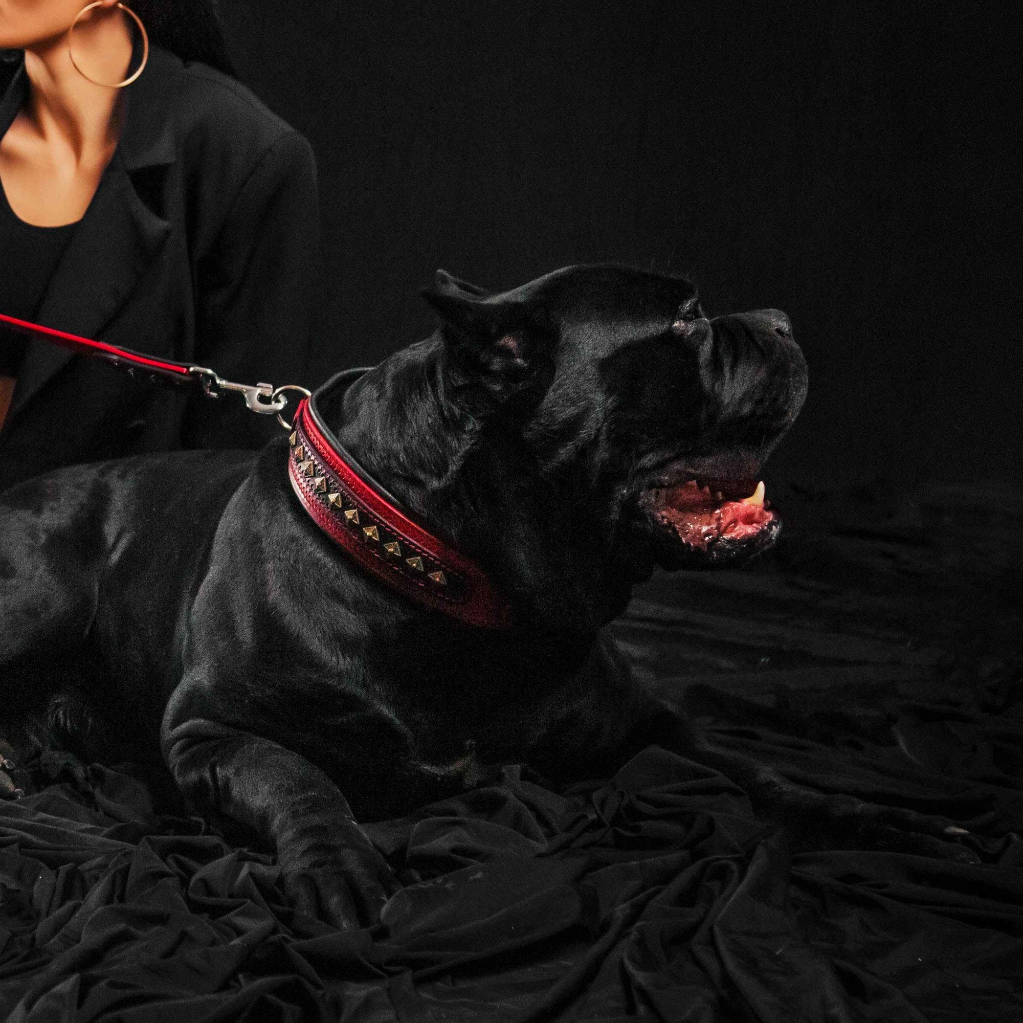 Bestia Balteus Red Leather Dog Collar