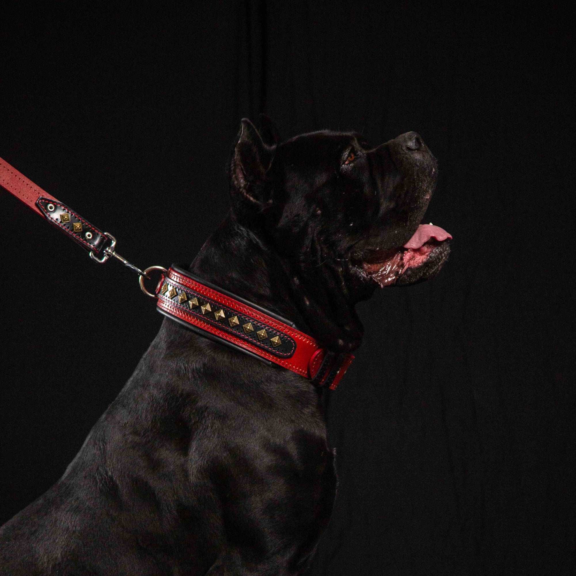 Bestia Balteus Red Leather Dog Collar