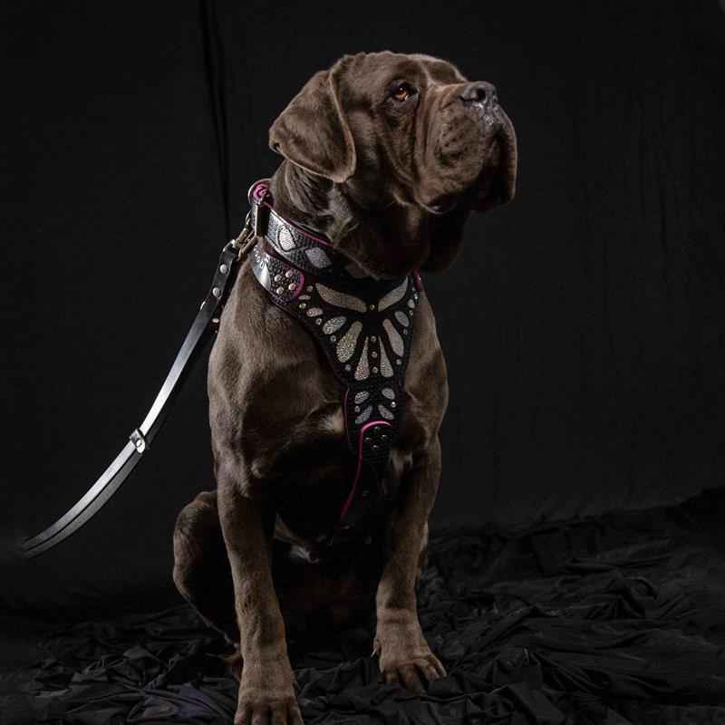 Bestia Ariel Leather Dog Collar