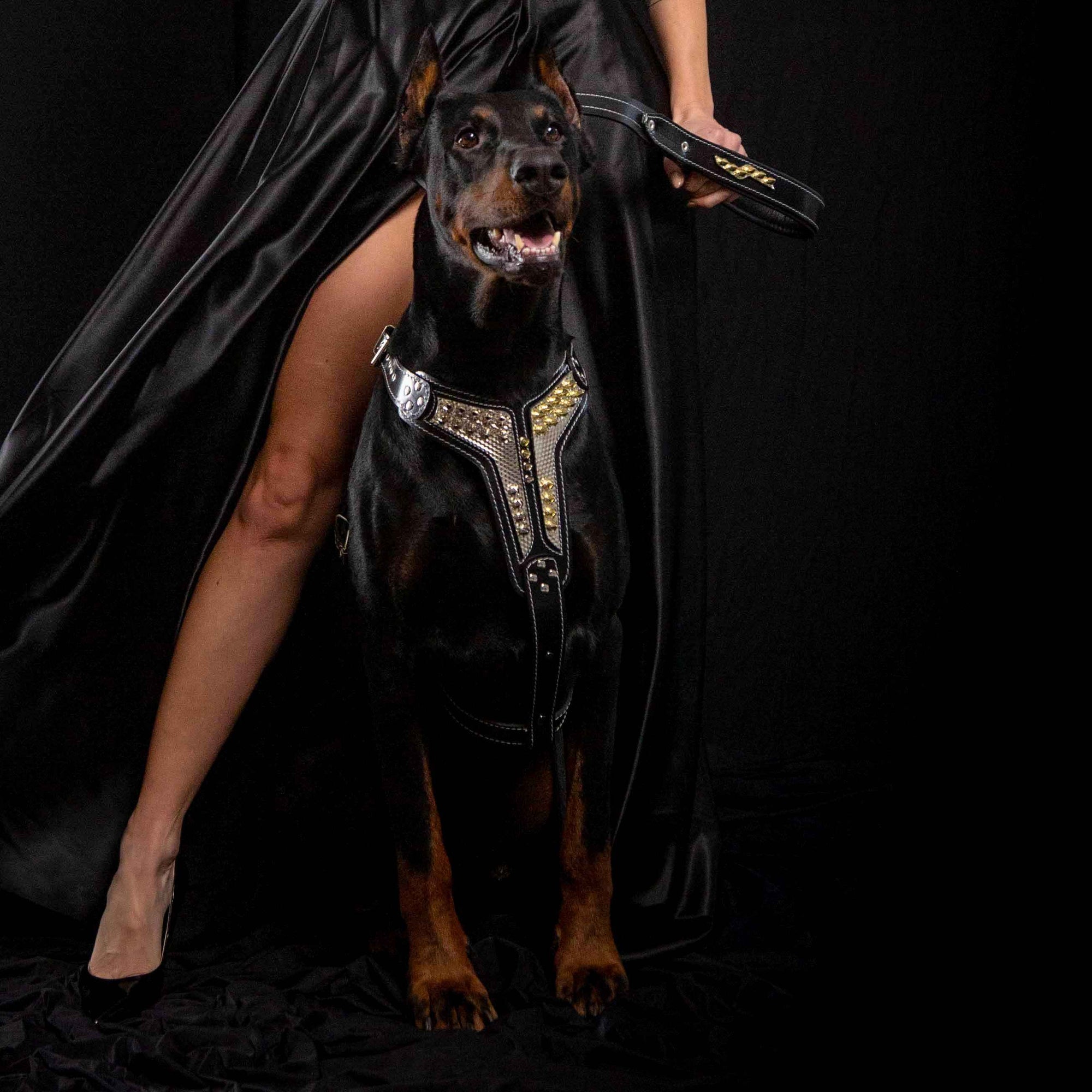 Bestia Platinum Leather Dog Harness