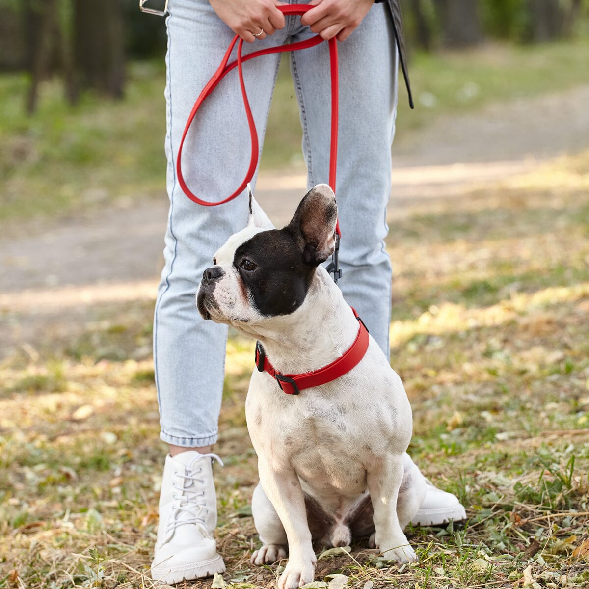 Dogline BioThane Waterproof Traffic Dog Lead for Dogs, 2 ft