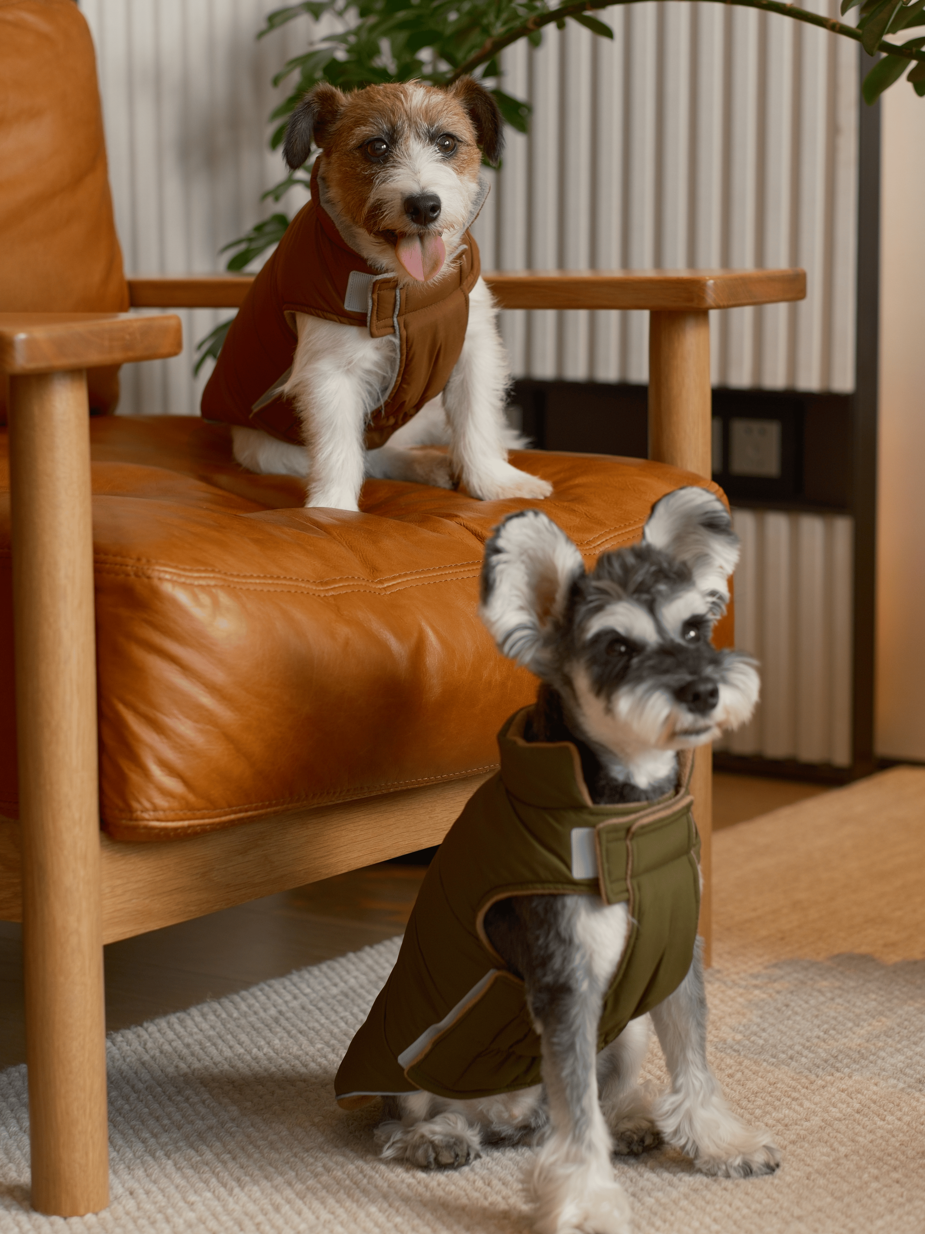 Reversible Dog Vest Jacket-Orange Grey