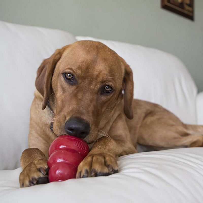 Kong Snacks Peanut Butter Large (11oz) - HT Animal Supply