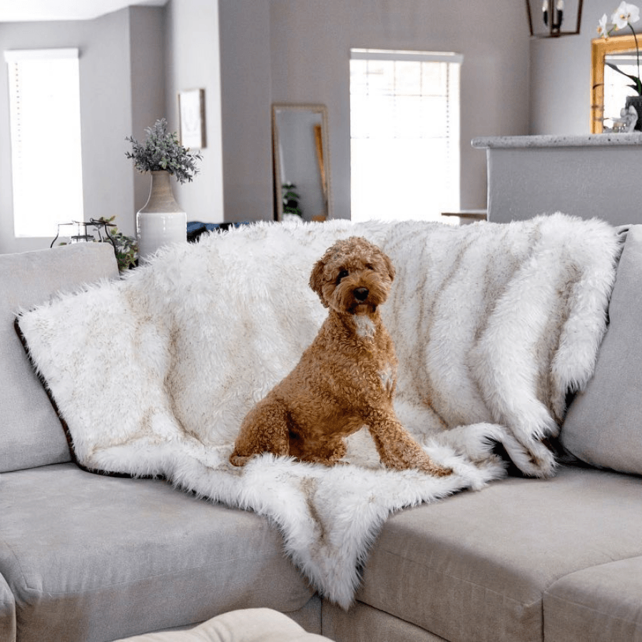 PupProtector Waterproof Throw Blanket White with Brown Accents 