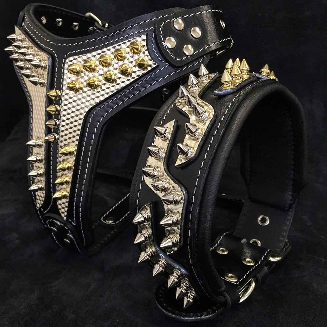 Bestia Platinum Leather Dog Collar
