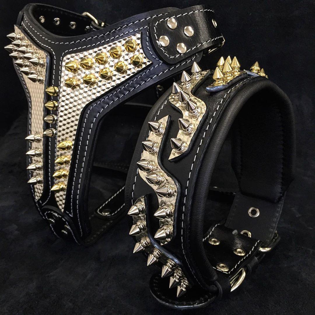 Bestia Dog Gear Genuine Leather Dog Collar 