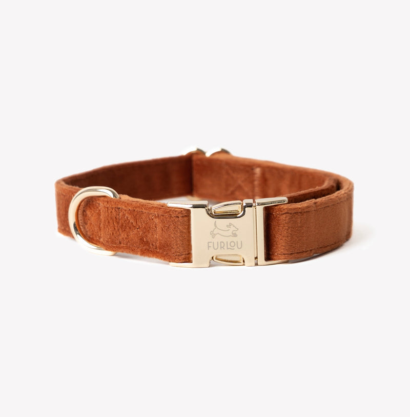 Clay - Velvet Dog Collar - Elegant, soft, and lowkey fabulous. Fast shipping from HT Animal Supply.