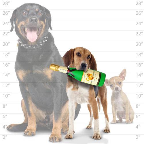 Silly Squeakers®  Wine Bottle - Meow Chased One