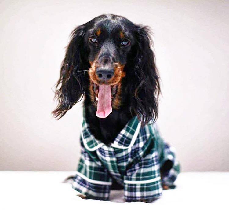 Green Flannel Pajamas 