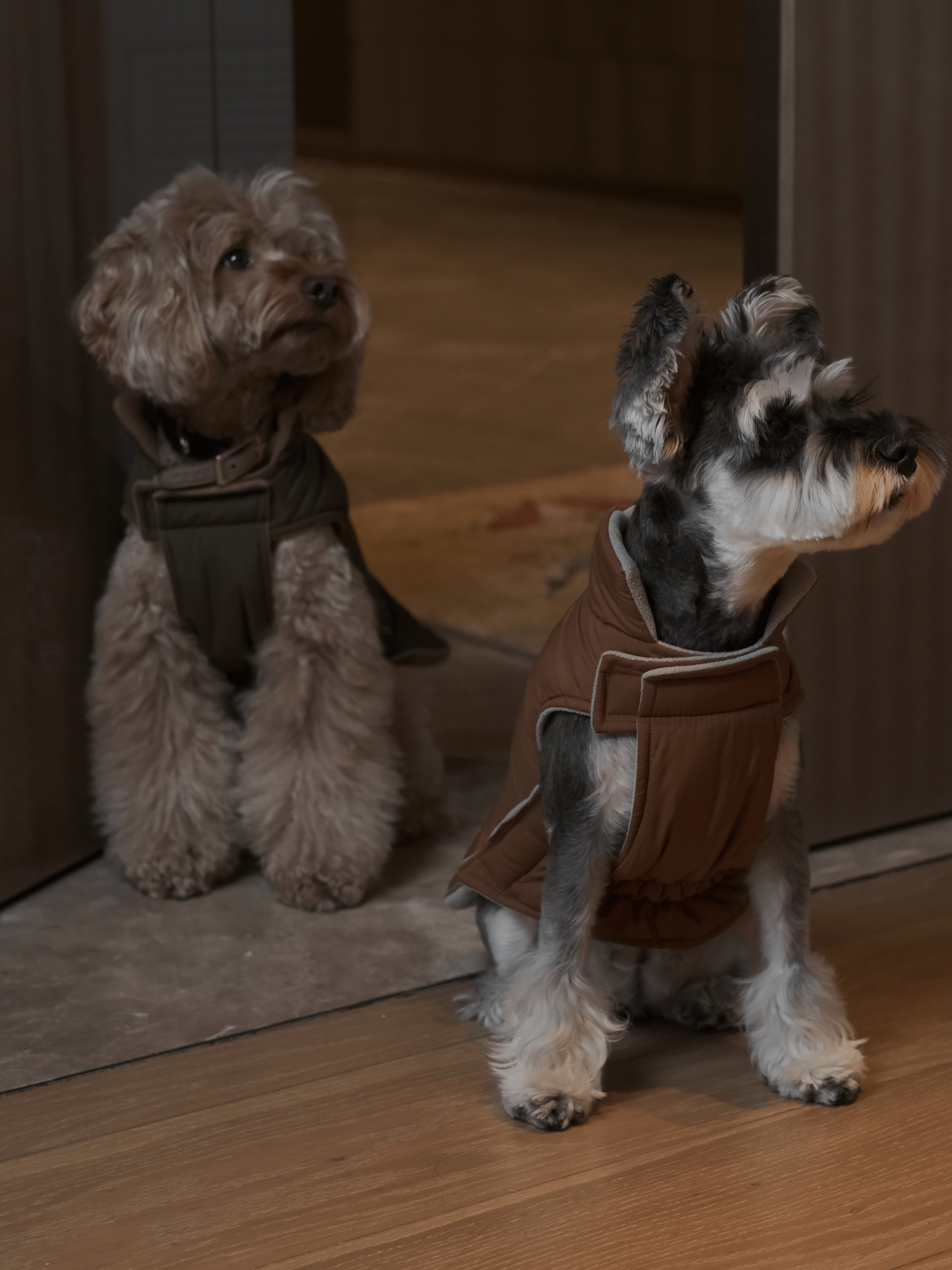 Reversible Dog Vest Jacket-Orange Grey