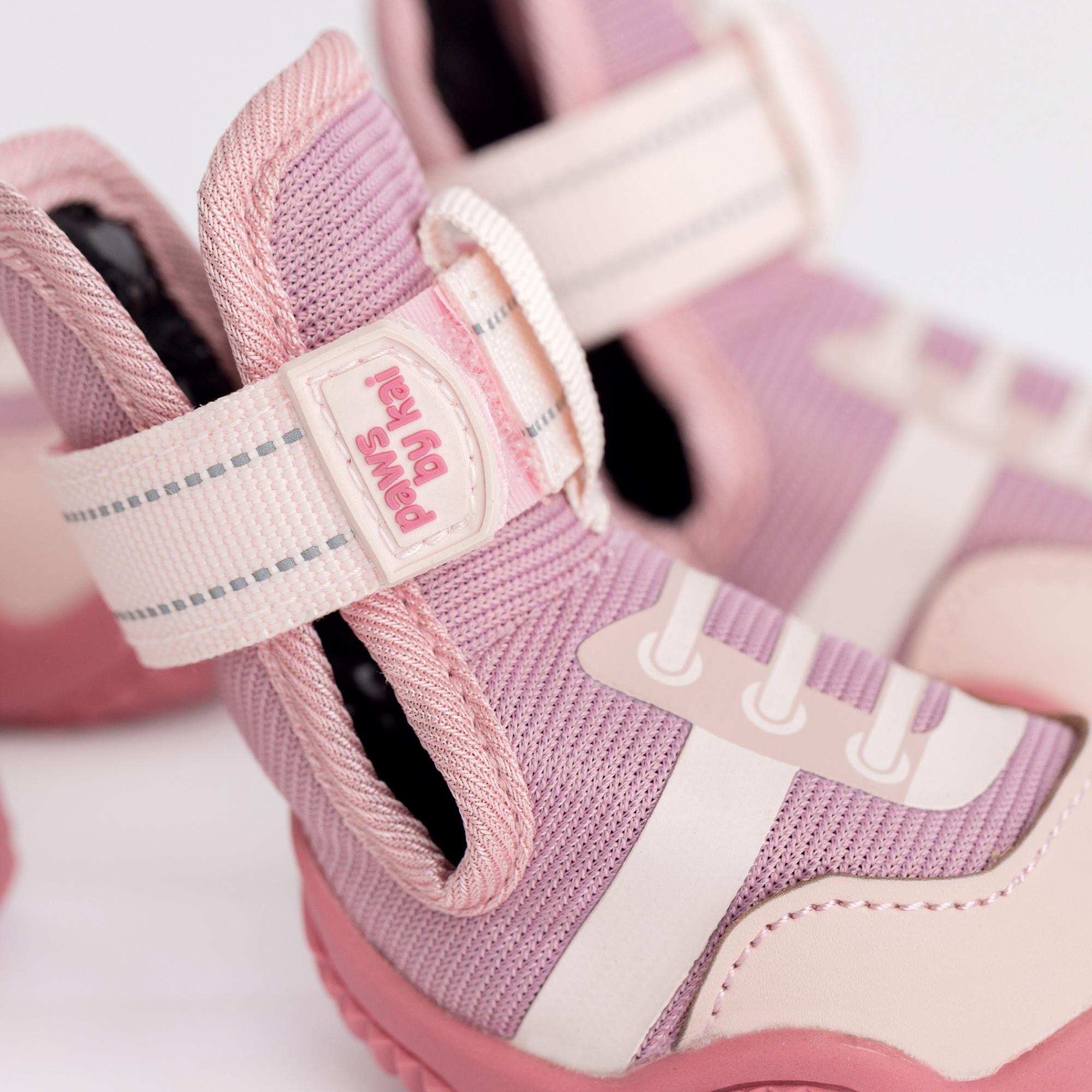 The Kai Dog Shoes