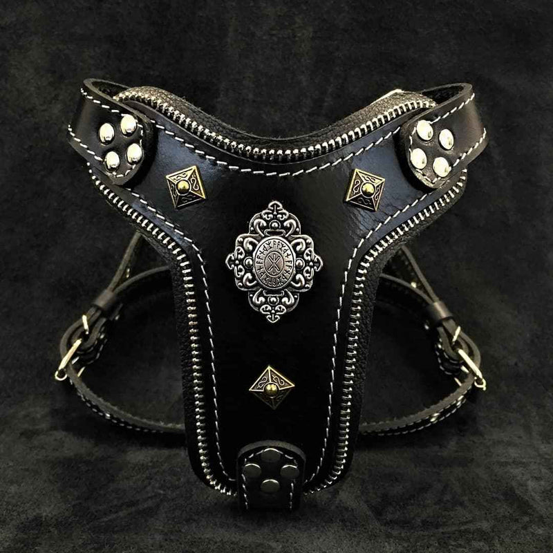 Bestia Aztec Black Leather Small to Medium Dog Harness