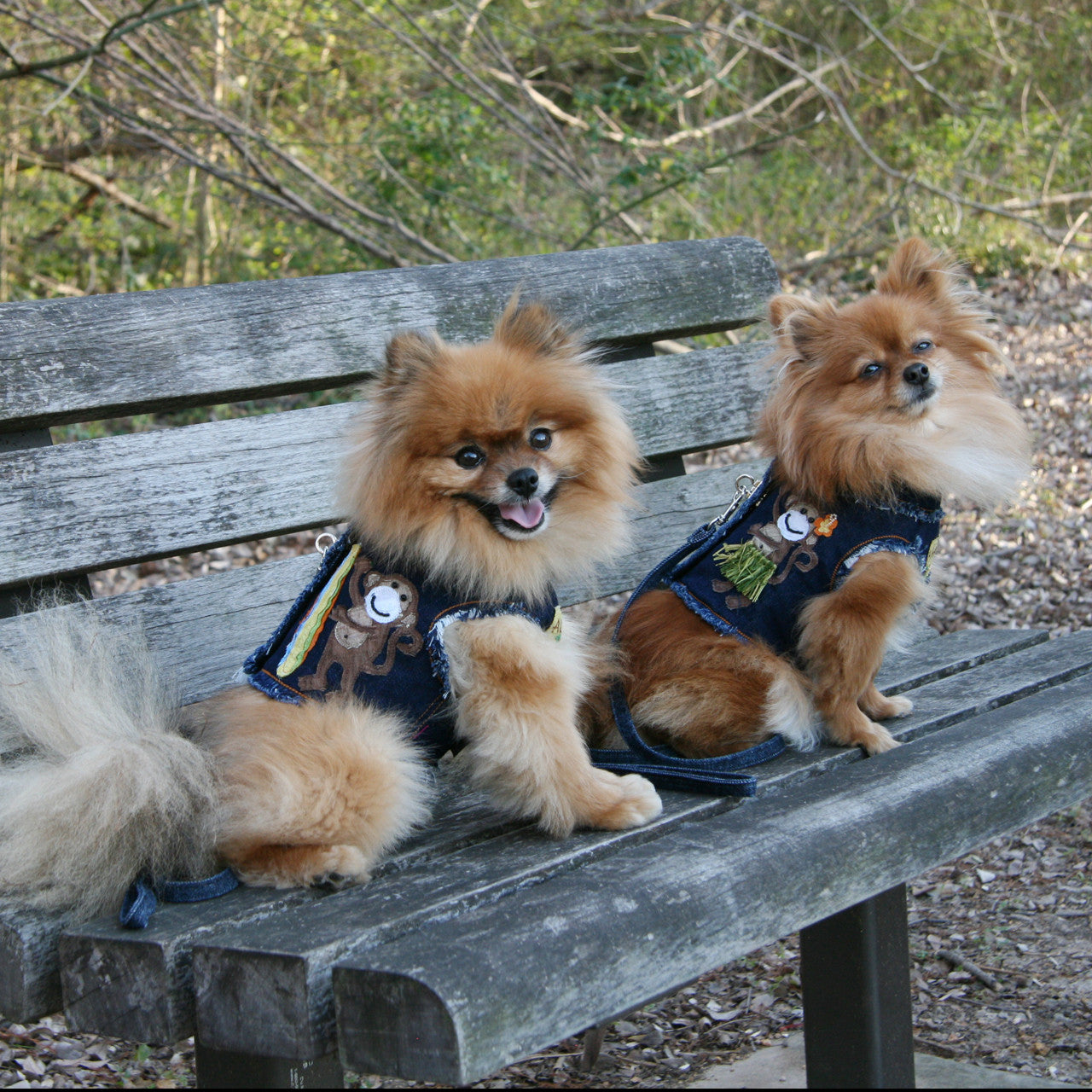 The Lahaina Collection Hula Monkey Denim Harness Vest