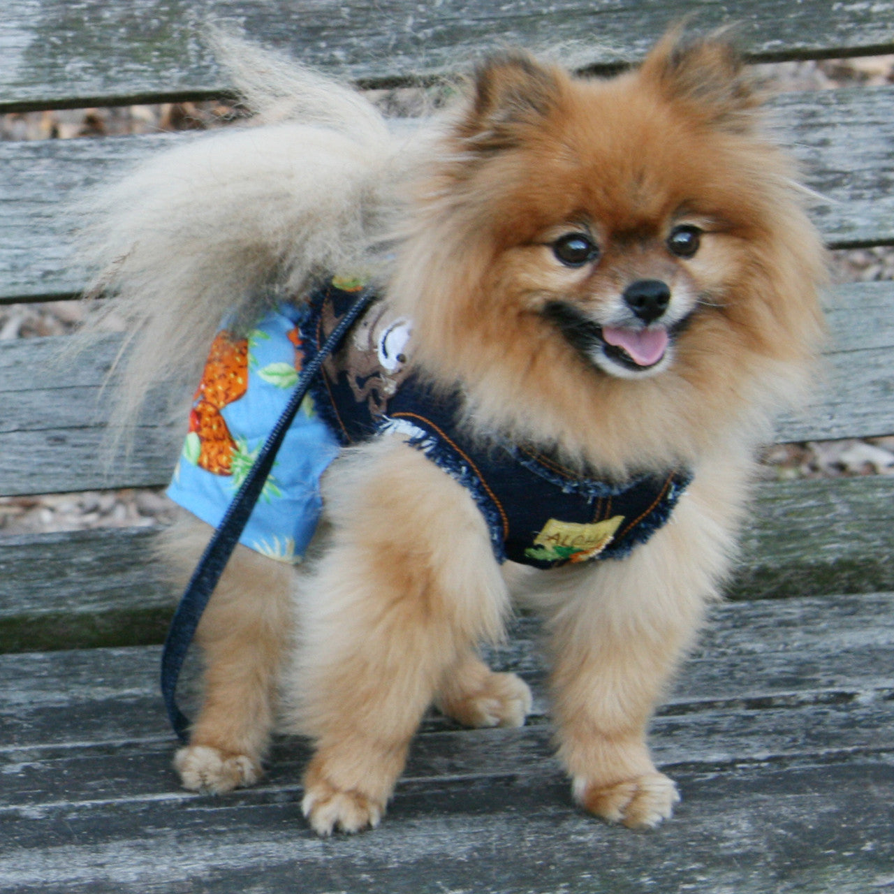 The Lahaina Collection Surfer Monkey Denim Harness Vest
