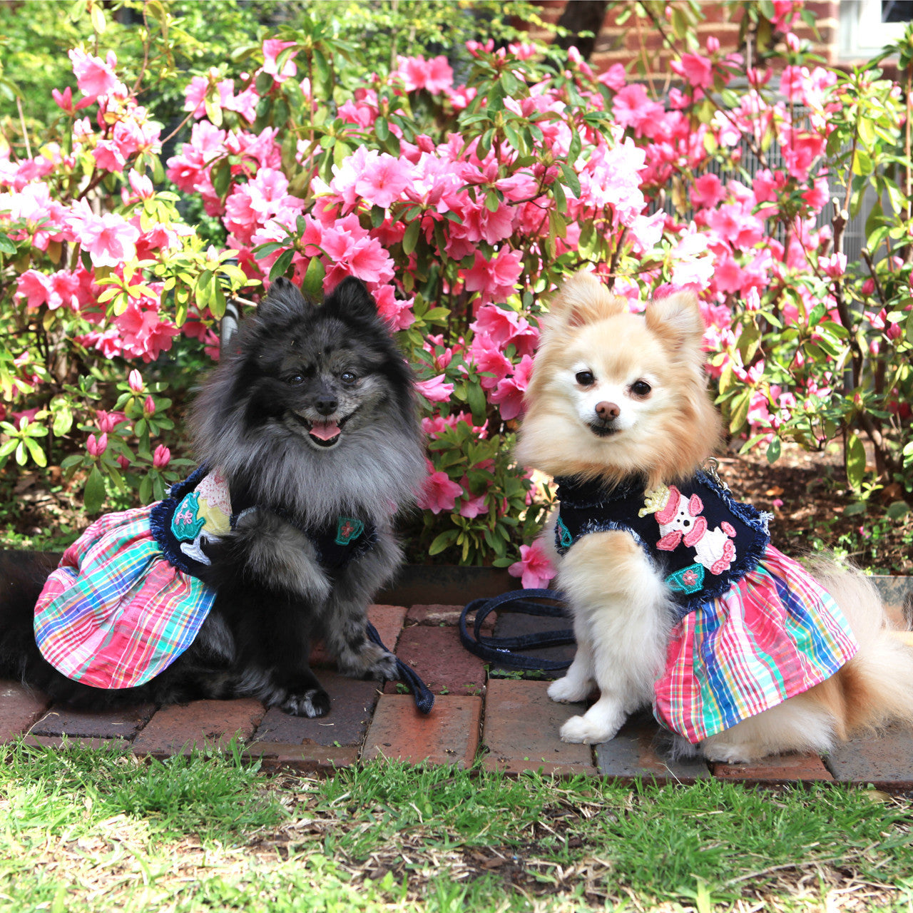 The London Tea Party Denim Harness Vest