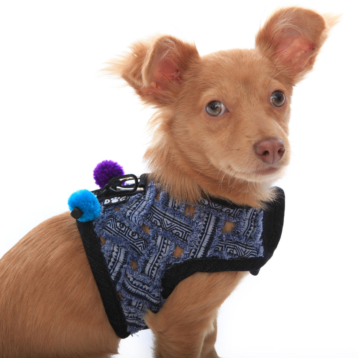 The Venice Frayed Harness Vest