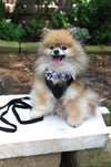White Shirt Dog Collar with Dark Navy & White Madras Plaid Bow Tie