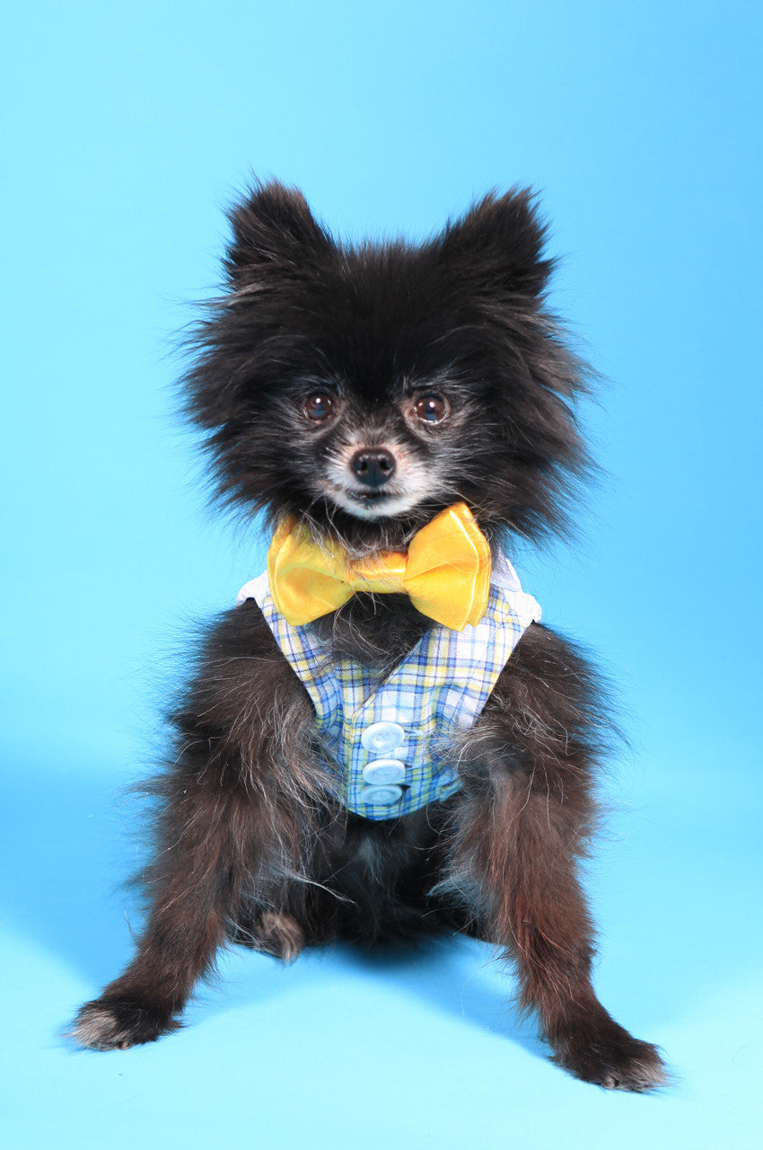 White Shirt Dog Collar with Yellow Bow Tie