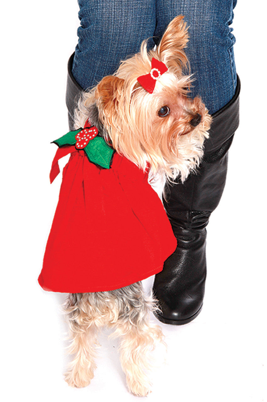 The Holly Custom Red Silk Dog Dress