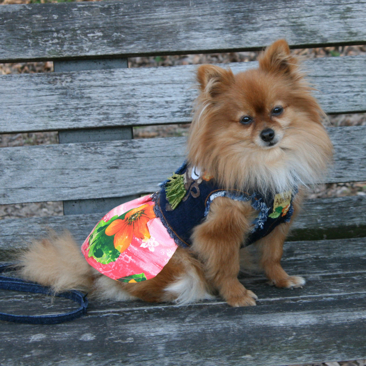 The Lahaina Collection Hula Monkey Denim Harness Vest