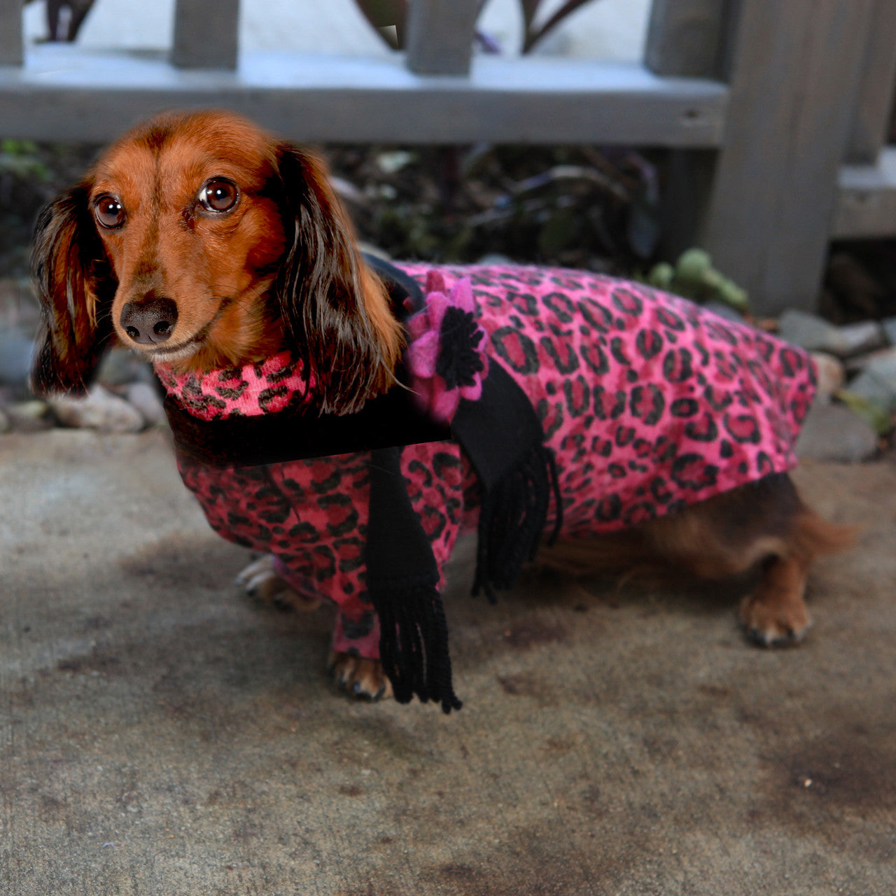 The Ava Pink Leopard Dog Sweater Dress