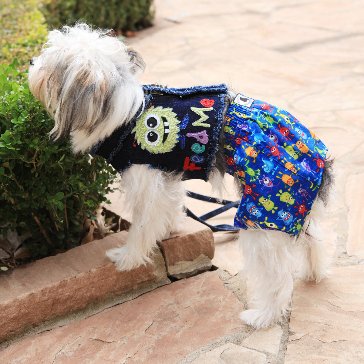 Little Monsters Collection - Belly Boxers for Dogs