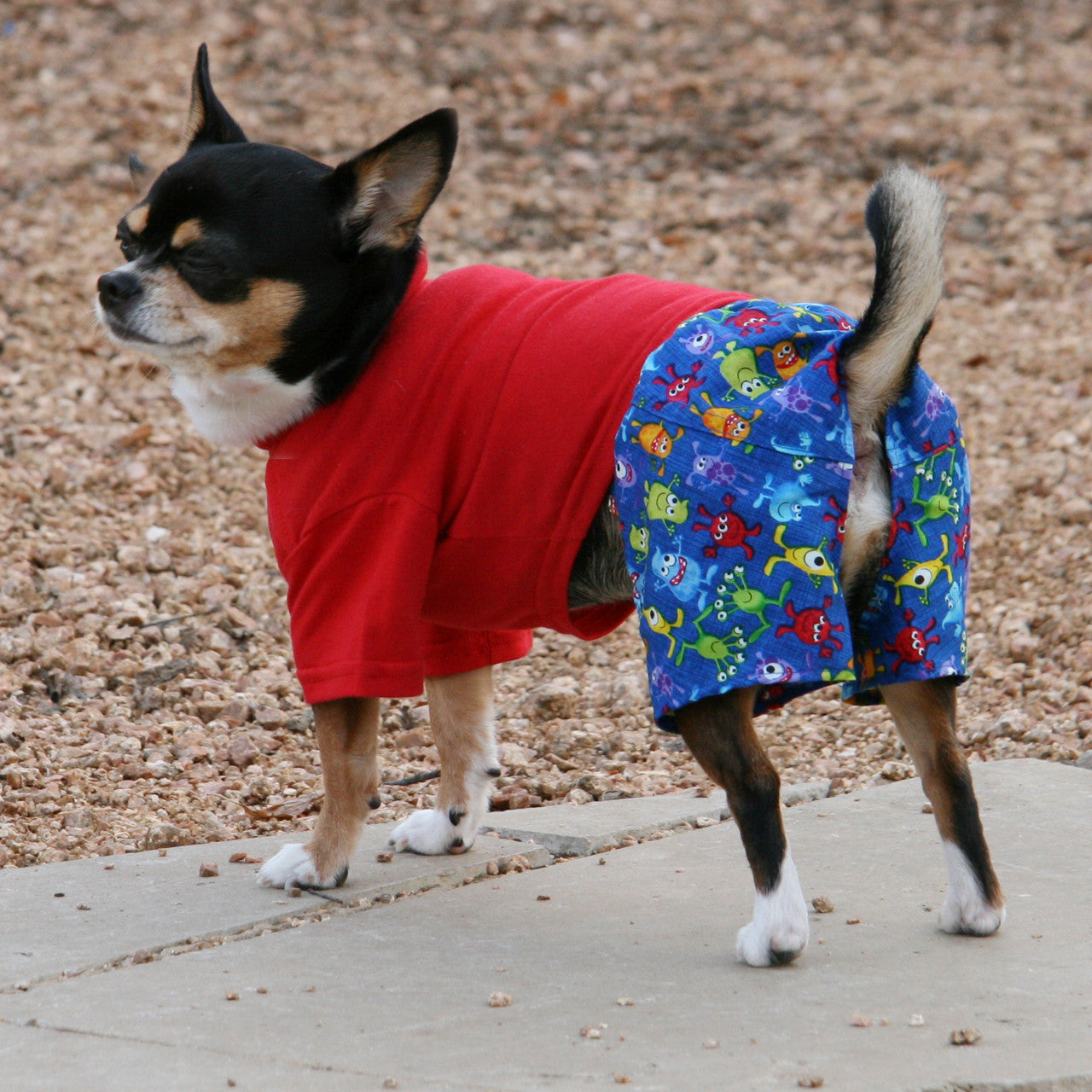 Little Monsters Collection - Boxer Shorts for Dogs