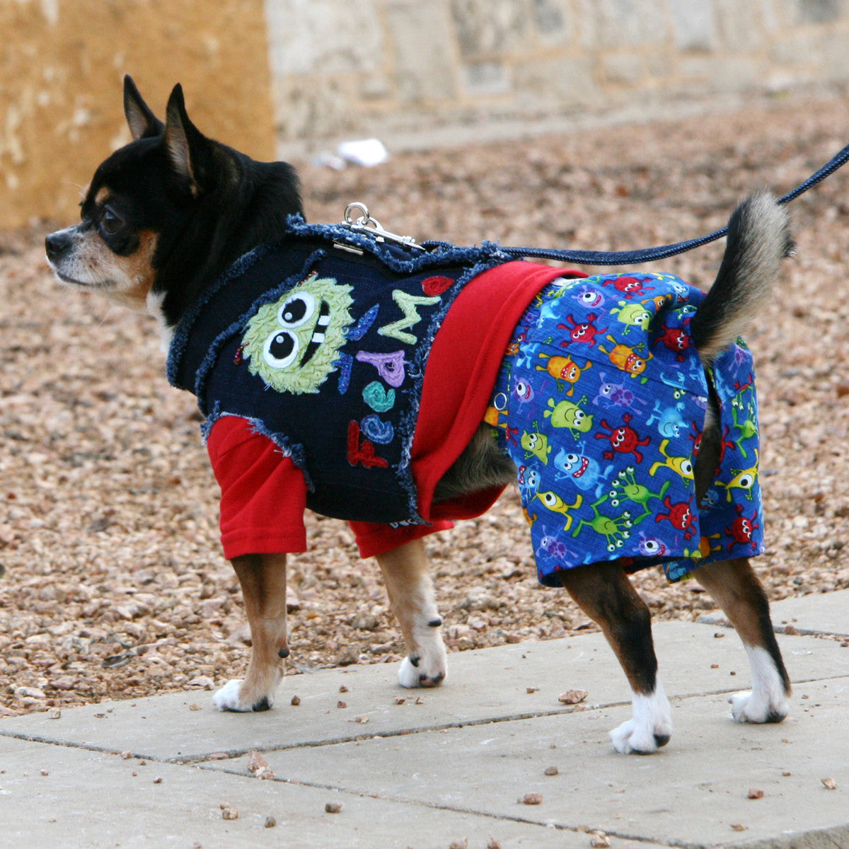 Little Monsters Collection - Belly Boxers for Dogs