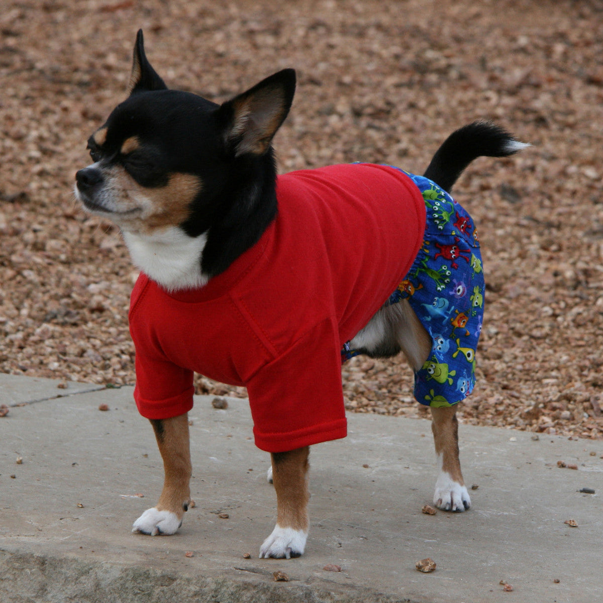 Little Monsters Collection - Belly Boxers for Dogs