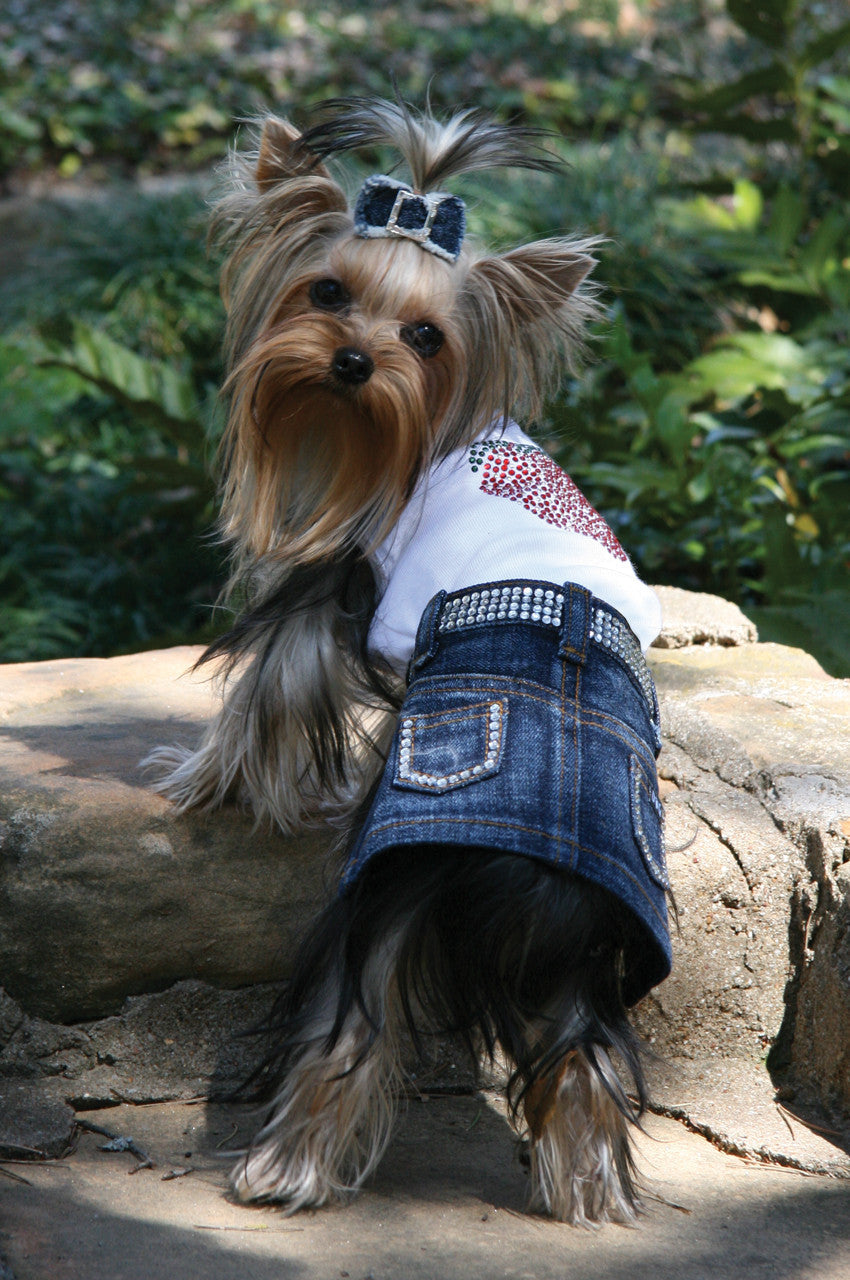 Jane Denim Skirt with Rhinestones