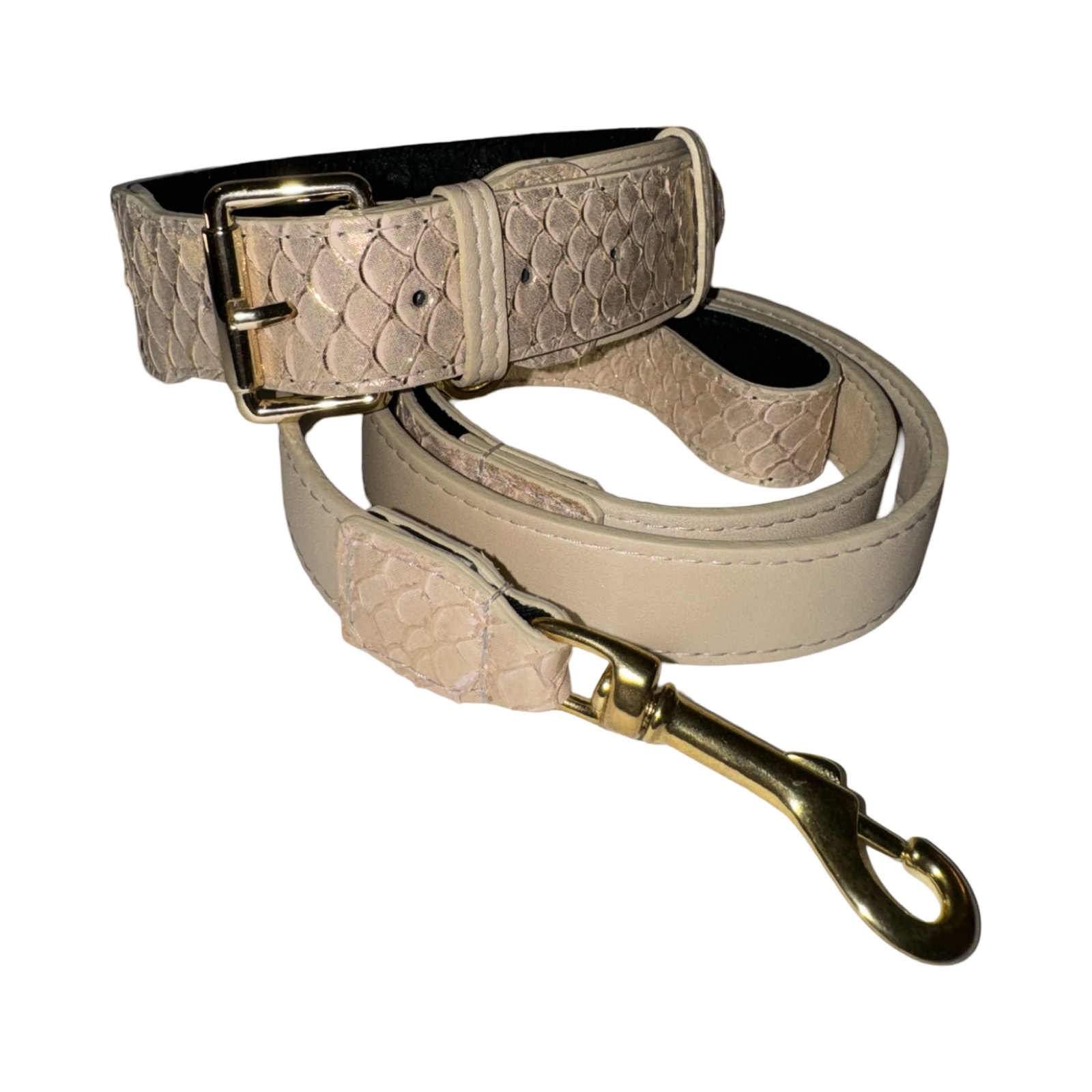 Allysa Payne Hollywood Glam Classic Dog Collar