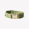 Green - Velvet Dog Collar