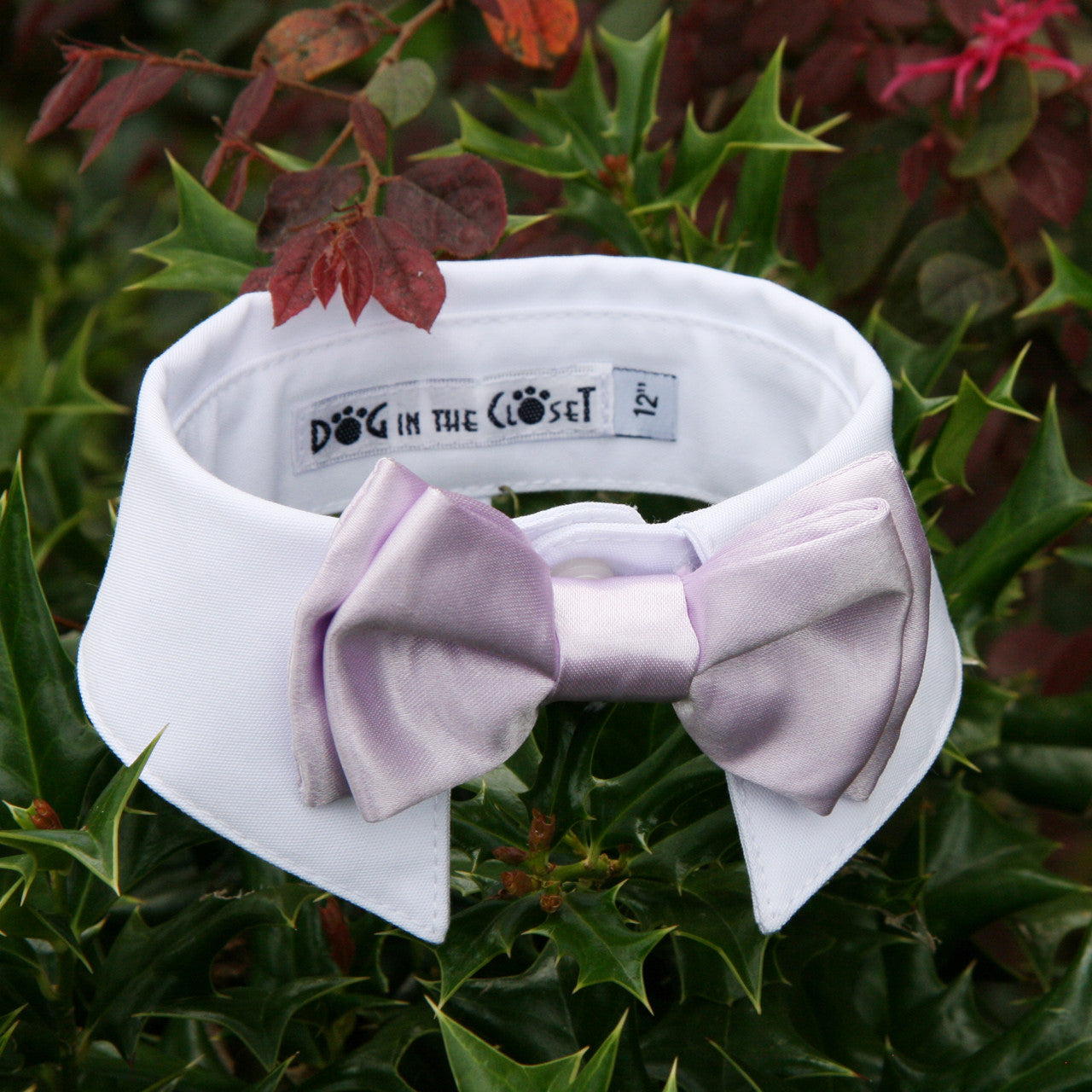 White Shirt Dog Collar with Lilac Bow Tie