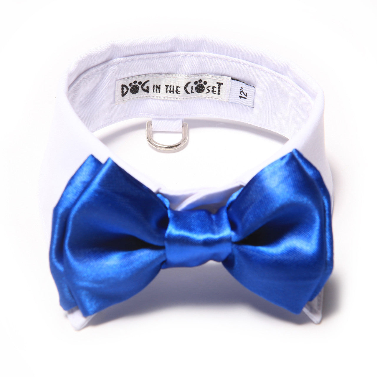 White Shirt Dog Collar with Royal Blue Bow Tie