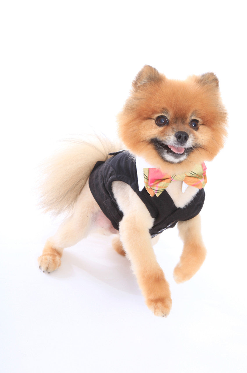 White Shirt Dog Collar with Coral & Lime Silk Plaid Bow Tie