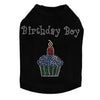 Birthday Boy - Dog Tank