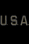 USA (Gold & Silver Nailheads) - Bandanna