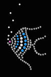 Angel Fish (Blue) - Bandanna