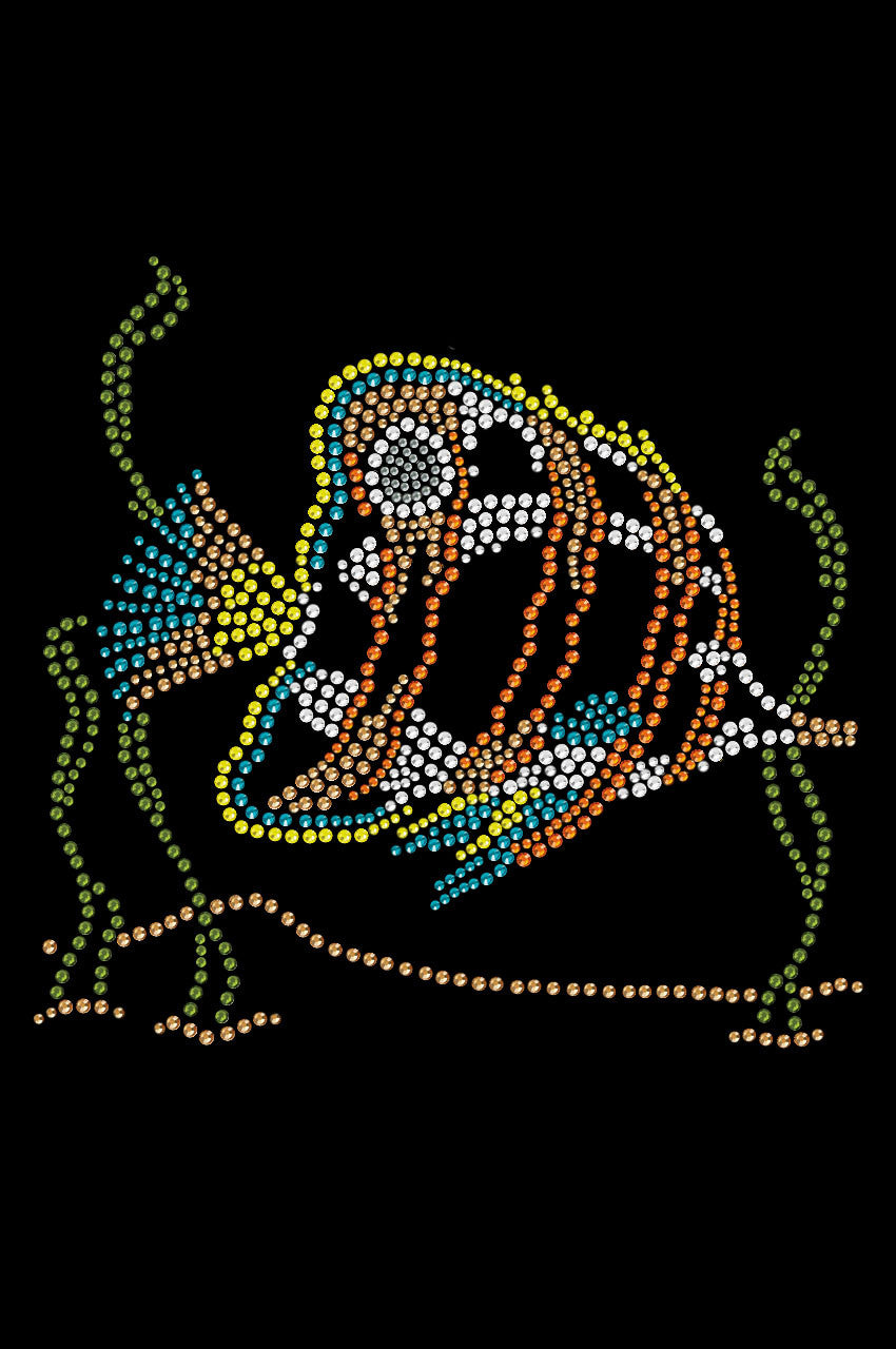 Fish (Orange & Blue) - Custom Tutu