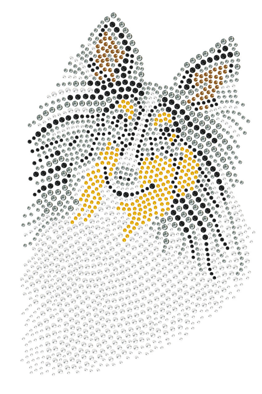 Sheltie Face (Tri Color) - Women's T-shirt